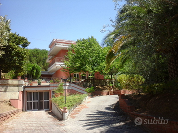 Casa indipendente con terreno e uliveto