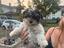Immagine 1