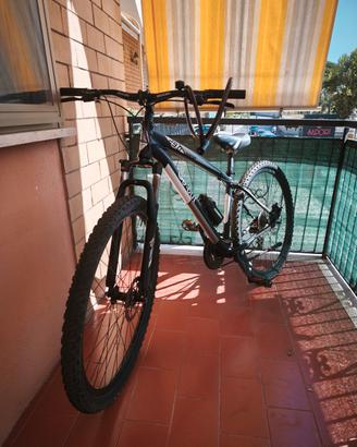 Mountain Bike Go-Out Kuster (2021) 