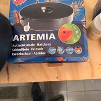 Kit produzione artemia salina