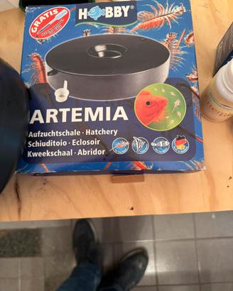 Kit produzione artemia salina