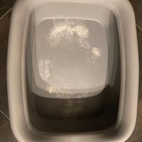 lettiera aperta per gatto