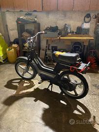 Piaggio Altro modello - 1983