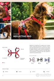 🐾 Pettorina ad H Alp2 Canine "Reflective Pro"