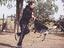 Immagine 4