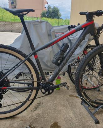 Bici canondale mountainbike