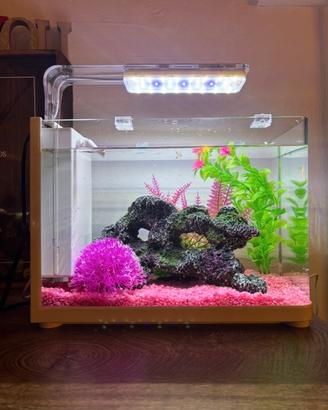ACQUARIO