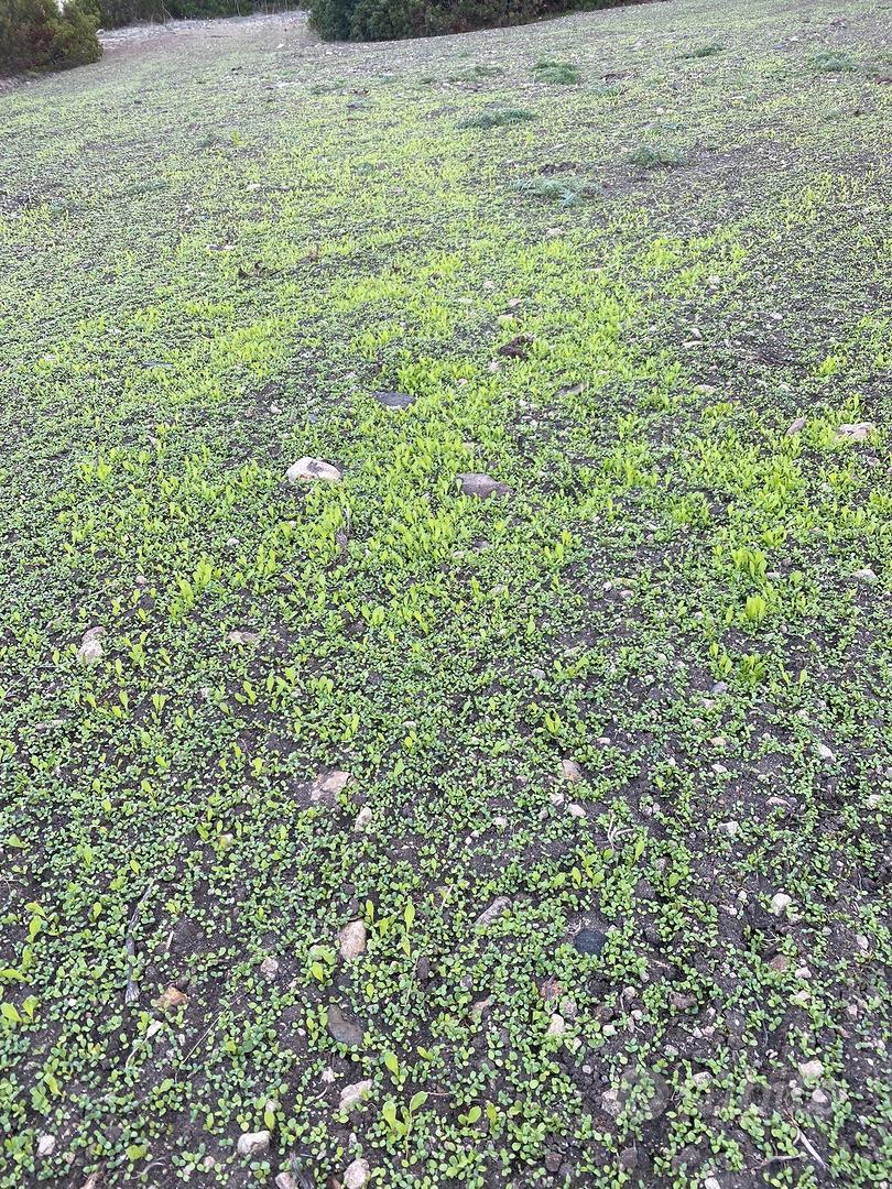 terreno - Vista 2