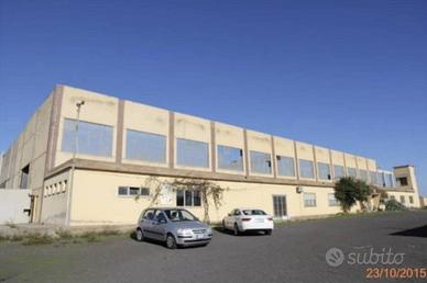 Immobile in asta di 3866 m² a Sardara