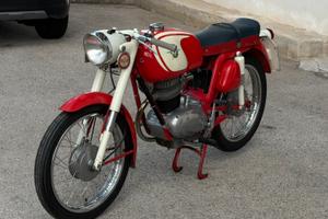 MV AGUSTA 99 GTE SPORT Targa oro FMI