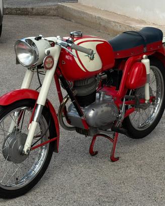MV AGUSTA 99 GTE SPORT Targa oro FMI