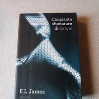 Cinquanta sfumature di Grigio