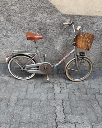 Bicicletta pieghevole