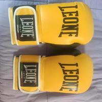 Guantoni "Leone" - Come Nuovi