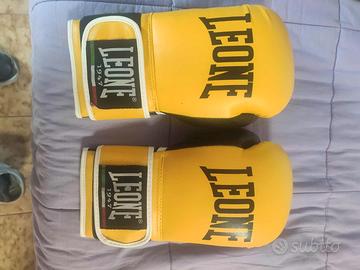 Guantoni "Leone" - Come Nuovi