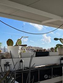 Casa Indipendente Brindisi [MQ123ARG]
