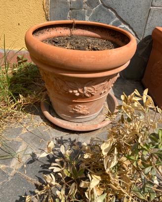 Fioriere in terracotta