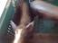Immagine 2