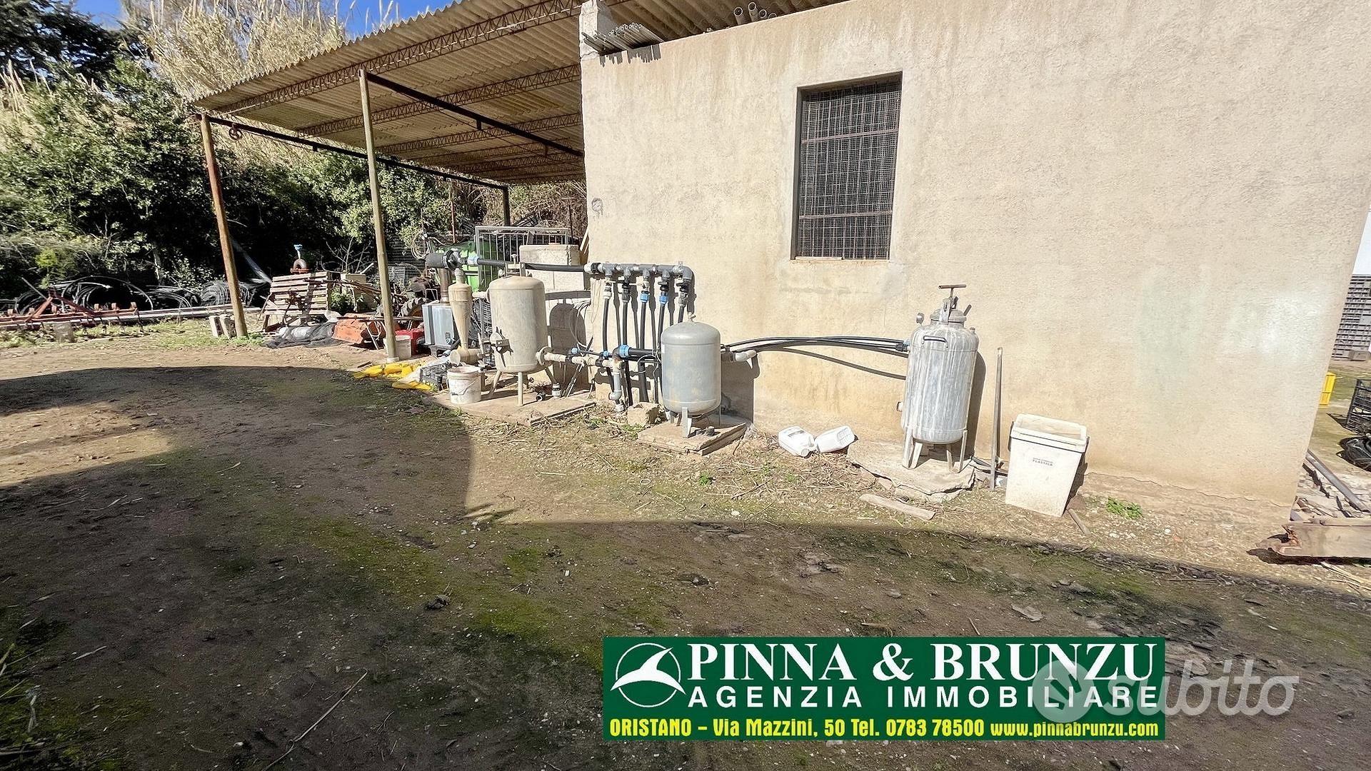 Siamaggiore - Azienda serricola - Vista 5