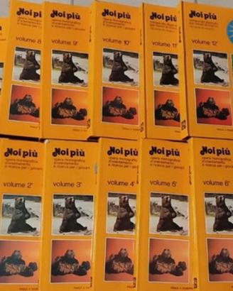 Enciclopedia vintage Noi Più 12 volumi e altro