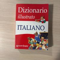 Dizionario illustrato di Italiano