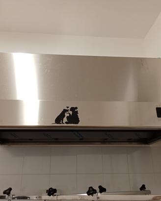 CAPPA ASPIRAPELI ED ODORI