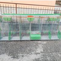 Gabbia fattrici conigli
