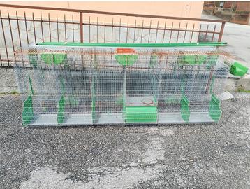 Gabbia fattrici conigli