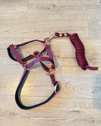 Capezza per cavallo
