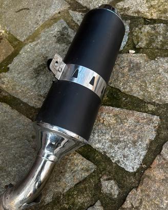 Scarico originale BMW R1200R Bialbero
