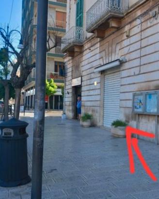 Locale in centro via Umberto I putignano