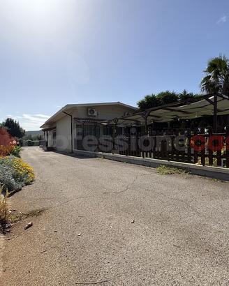 Negozio Terracina [Cod. rif 3311072VCG]