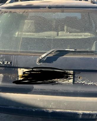 PORTELLONE POSTERIORE COMPLETO CITROEN ZX Break (9