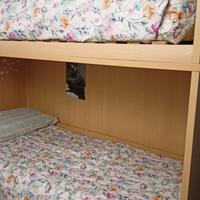 LETTO A CASTELLO BAMBINI  RAGAZZI 