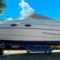 Stingray 240 cs