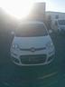 fiat-panda-1-0-firefly-s-s-hybrid