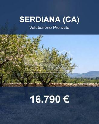 Immobile in asta di 9270 m² a Serdiana