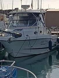 Hydra 2600 vector