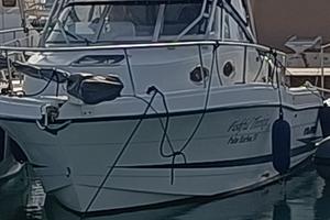 Hydra 2600 vector