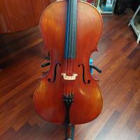 Violoncello 4/4 mod Stradivari 