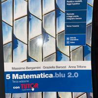 matematica blu 5