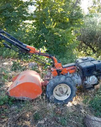 motocoltivato goldoni  fresa e falciatrice