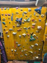 pannello per  arrampicata