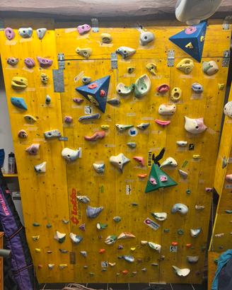 pannello per  arrampicata