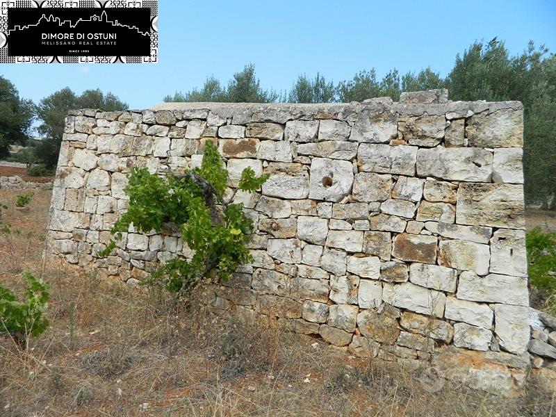 LAMIA in VALLE D'ITRIA CON TERRENO 4000mq - Vista 5
