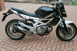 Suzuki   Gladius