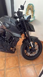 HONDA CB HORNET 2026
