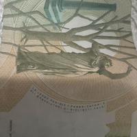 banconota da 5000 lire Bellini