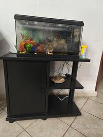 acquario 
