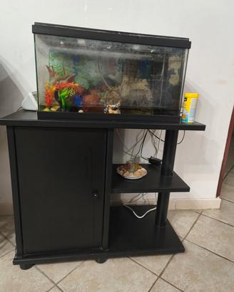 acquario 